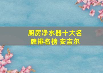 厨房净水器十大名牌排名榜 安吉尔